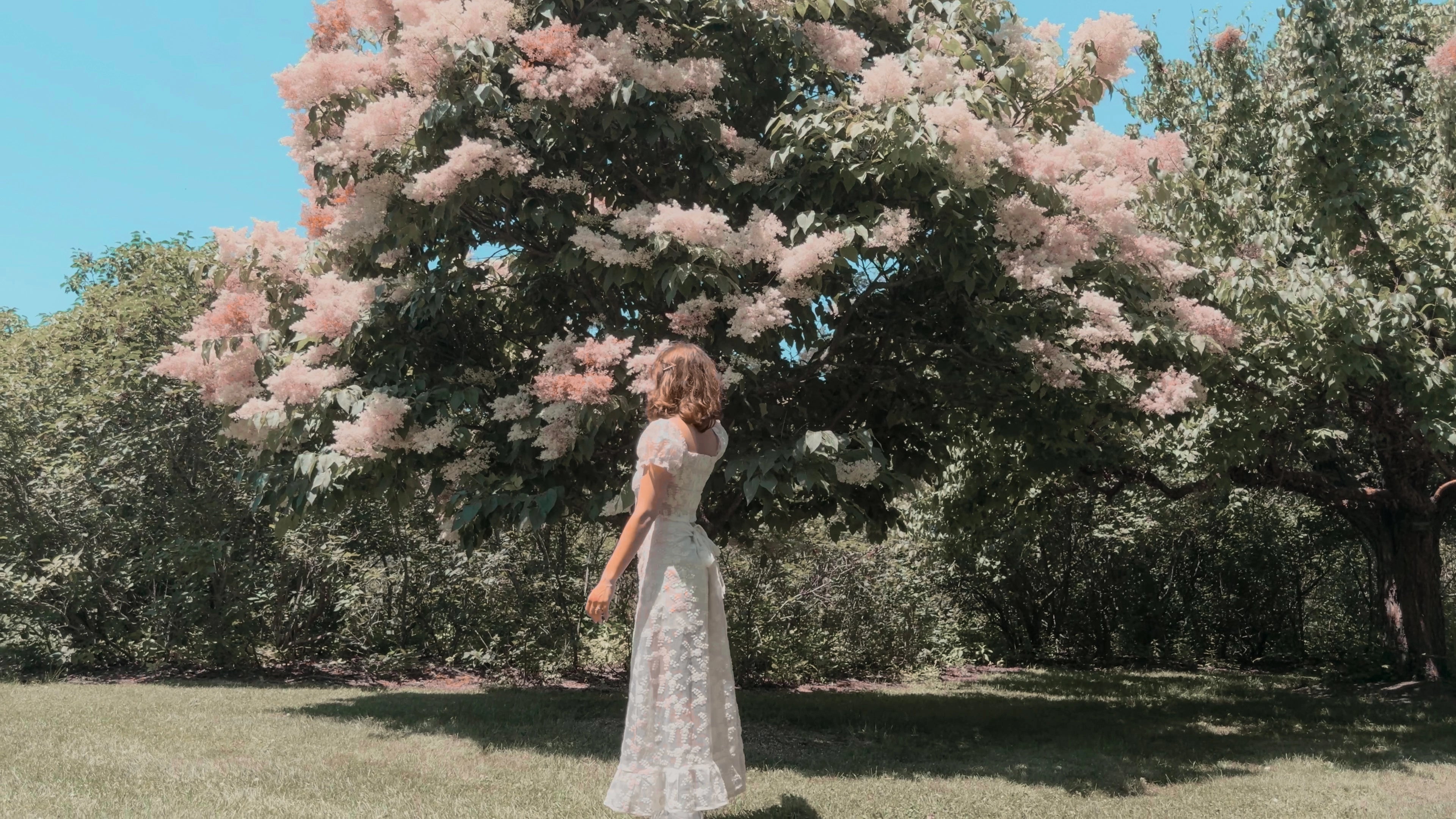 Raine from Hot Girls Are Vegan looking at a pink leaf tree in nature